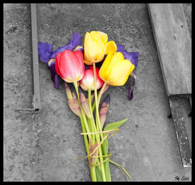 Cuando llegamos allí, el sábado por la mañana, estas flores ya estaban. La Memoria, siempre viva. Foto: Elena Alonso